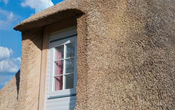 Holmside thatch roof disadvantages